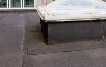 disadvantages of Port Edgar flat roofs