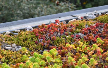 the cost of Port Edgar green roof installation