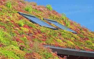 Port Edgar living roof systems