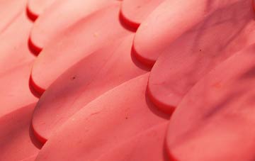 Port Edgar plastic roof costs