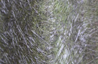 Port Edgar fibreglass roof work